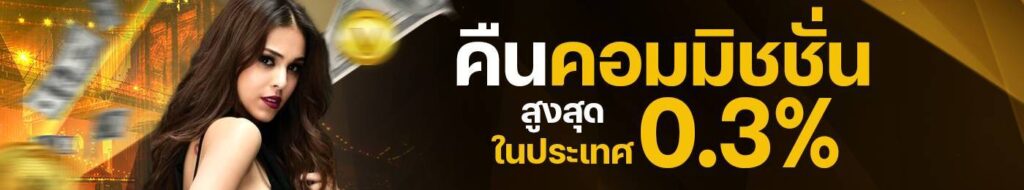 vpm44-คืนคอมมิชชั่น